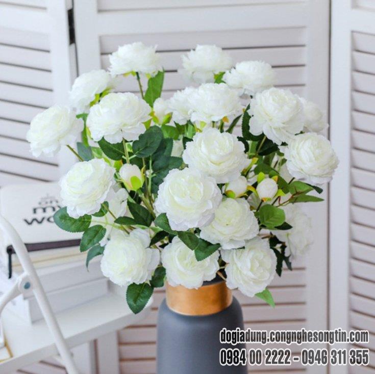 do-gia-dung-home-sweet-home