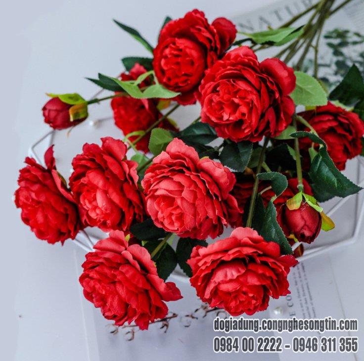 do-gia-dung-home-sweet-home