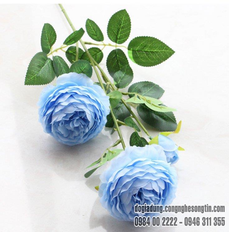 do-gia-dung-home-sweet-home