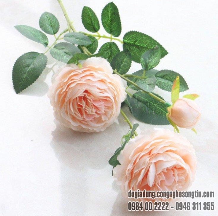 do-gia-dung-home-sweet-home