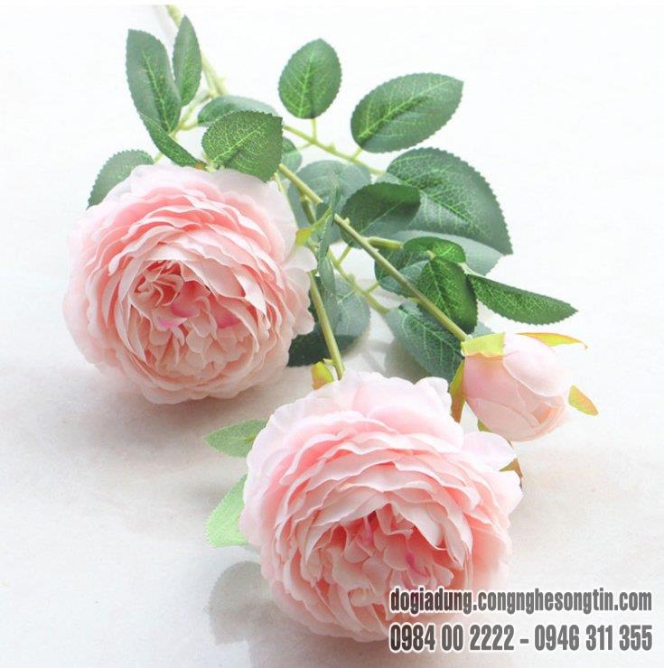 do-gia-dung-home-sweet-home