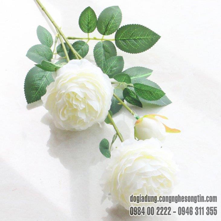 do-gia-dung-home-sweet-home