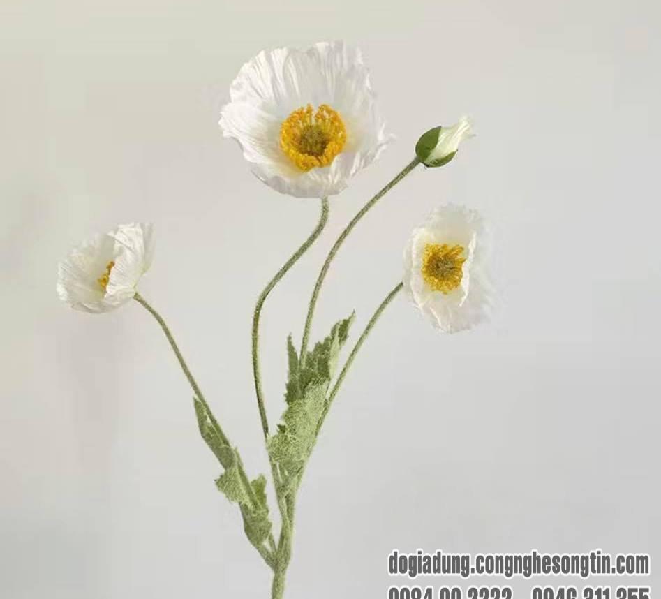 do-gia-dung-home-sweet-home