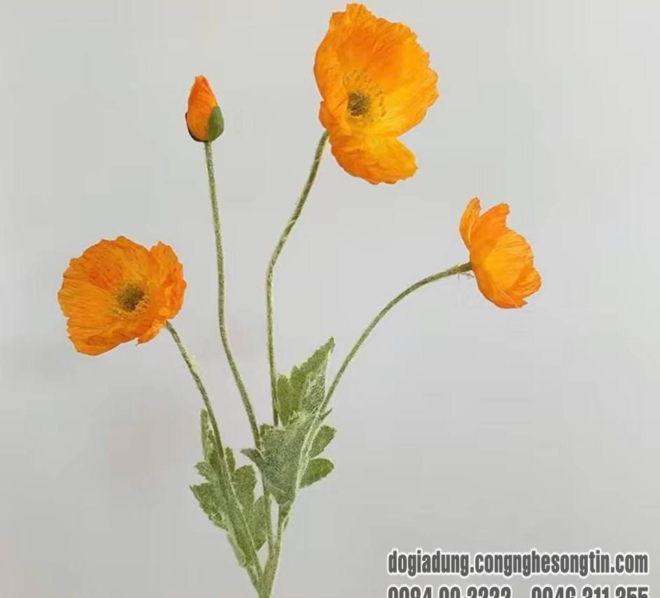do-gia-dung-home-sweet-home