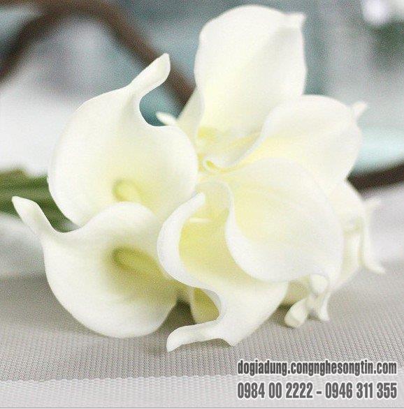 do-gia-dung-home-sweet-home