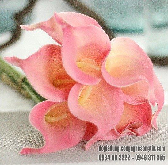 do-gia-dung-home-sweet-home