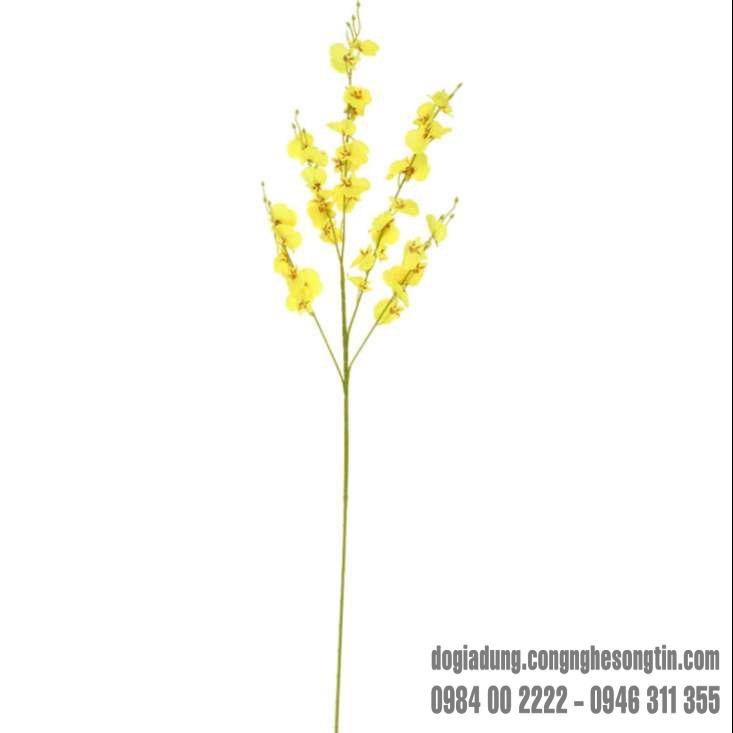 do-gia-dung-home-sweet-home