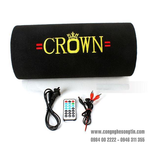 loa-the-nho-usb-crown-nguon-dien-12v-co-so-5